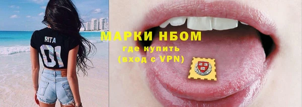 шишки Баксан