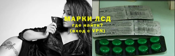 шишки Баксан