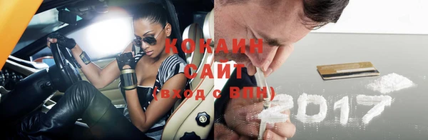 шишки Баксан